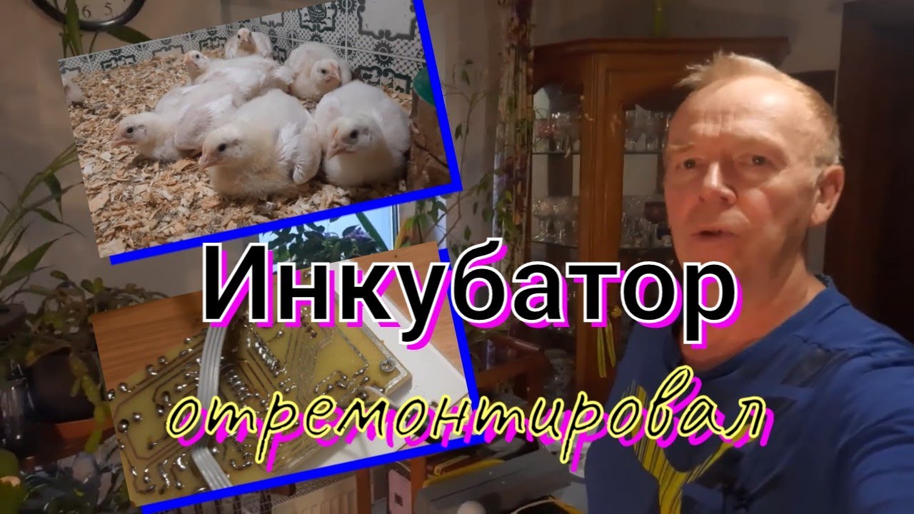 Ремонт инкубатора Блиц своими руками. - YouTube