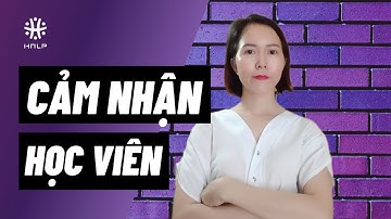 NLP là gì? Nhiều kĩ năng Thu hút khách hàng tạo ra hiệu quả ngay| NLP Nguyên Chủng ABNLP Hoa Kỳ