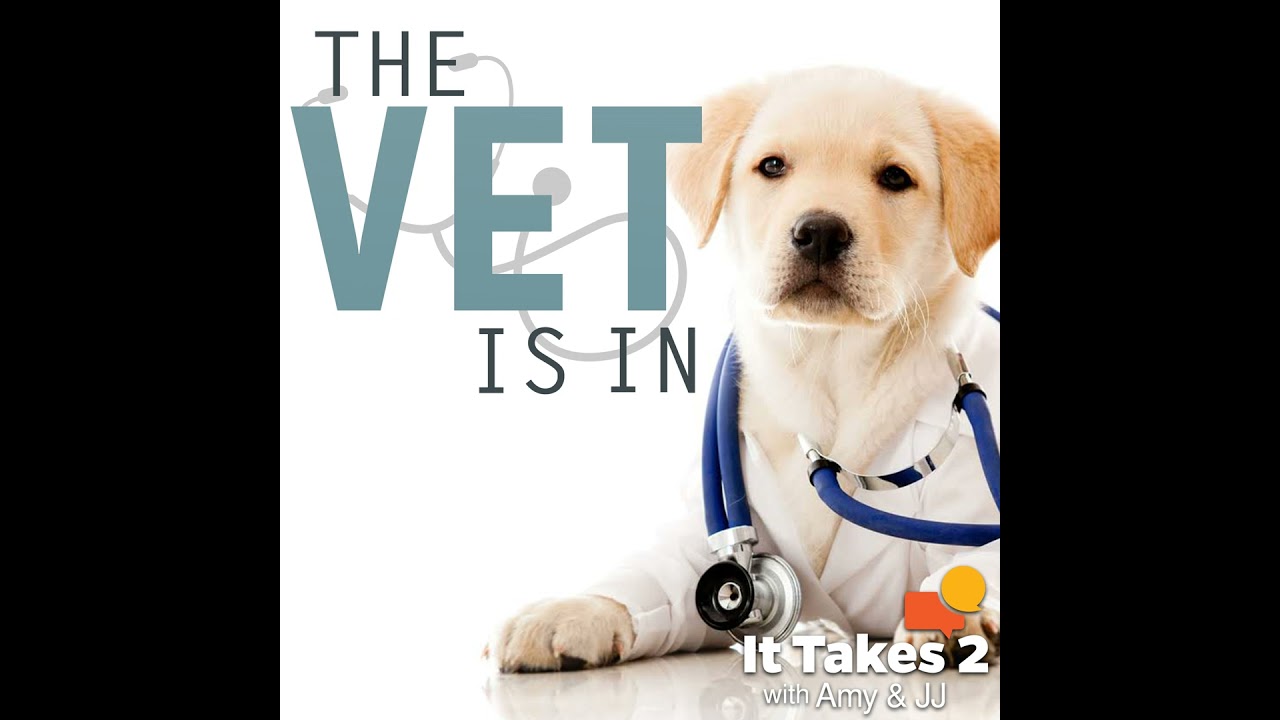 Vet Is In - Umbilical Hernias, Pet Insurance, Food, Behaviors & More