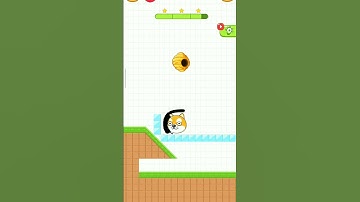 The Cat 😺 Level 20 🐝