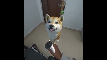 Digimal | Mixed Reality Pet | Gameplay Demo | Unity Prototype