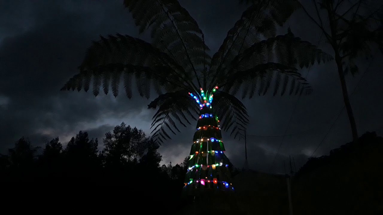 Pohon Natal Unik dengan Pohon Pakis YouTube