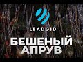 Новый год с Leadgid: Бешеный Апрув