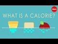 What is a calorie? - Emma Bryce