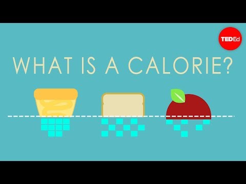 Video: ¿Debo usar kcal o cal?