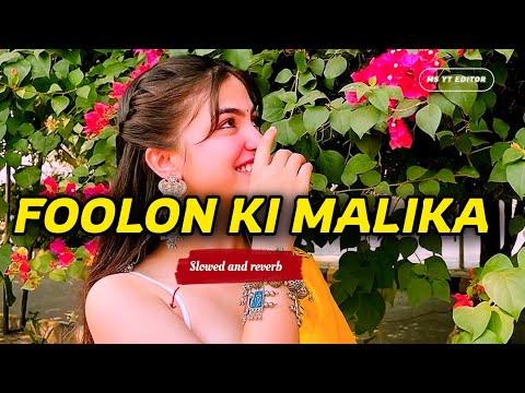 Foolon Ki Malika - Lofi Version 🌸 | Best Hindi Love Song 2026