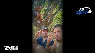 MC SACI - CARA DE BANDIDO SIM - DJ DG DO RB E DJ ROGERINHO DO QUERO