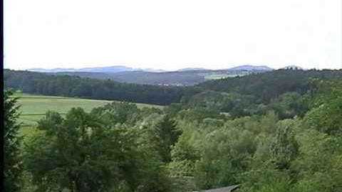 Align Trex 250 first 3D with crash