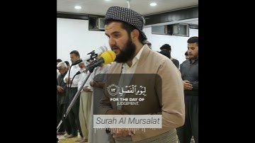 تلاوە خاشعة من سورة المرسلات للقارئ دلشاد احمد الكردي