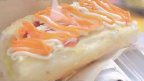 [PLASTICIDADE] Plasticidog