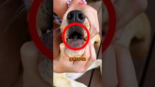 Quando ela viu o que tinha dentro… ficou em choque 😲😱