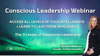 Details Conscious Leadership: The 3 Levels of Consciousness + Leading from Wholeness Update