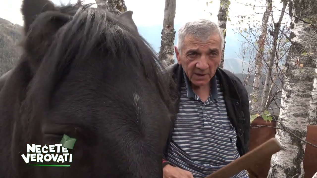 NEĆETE VEROVATI - Divlji konji