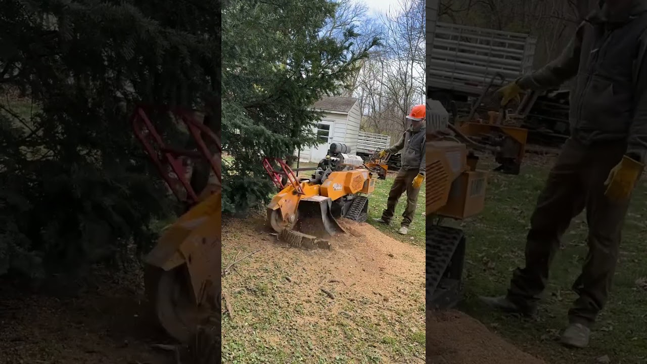 Professional Stump Grinding Time Lapse