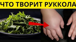 Мало кто знает, что руккола вызывает необратимое!