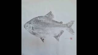 How to Gyotaku a Pacu