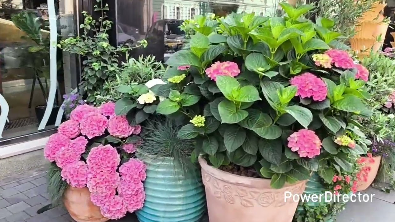 Прогулка по Питеру 9.07.25 г. 