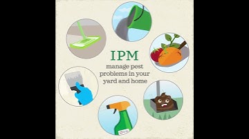 Apply Responsibly Integrated Pest Management | Kitchen