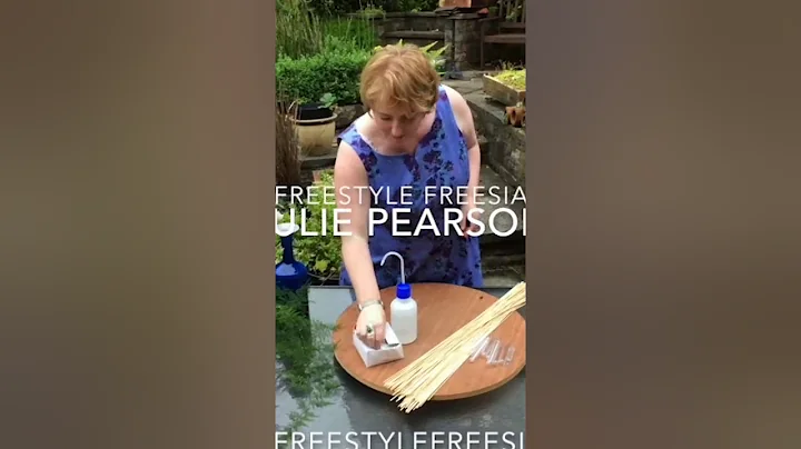 #FreestyleFreesi...  by Julie Pearson