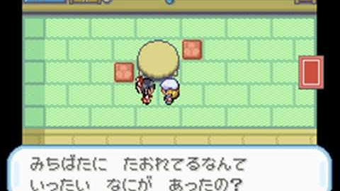 Touhoumon Gensokyo Version Part 1 -Defending against Charisma-