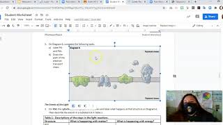 Celebrity How to annotate photos using google drawings Net Worth