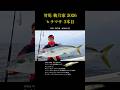 対馬 梅乃家 ヒラマサ 3本目 #shorts