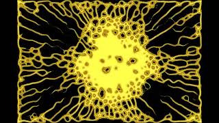 Physarum Slime Mold: Nature's Living Computers (1)