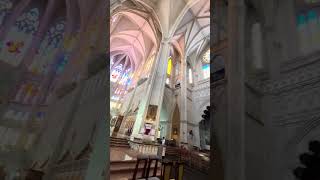 IMG 2260