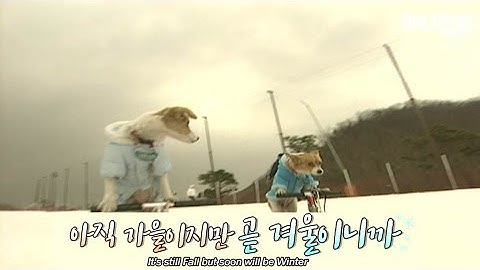 원래 뭘 좀 아는 애들이 이렇게 계절을 앞서감ㅣThe skateboard riding mom and daughter dogs challenge sledding this time?