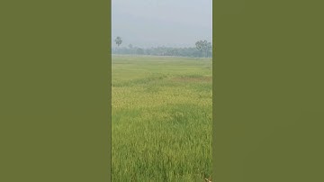 My First mini vlog😔|| mini vlog  || #shorts #minivlog #myfirstvlog #myfirstvlogviral