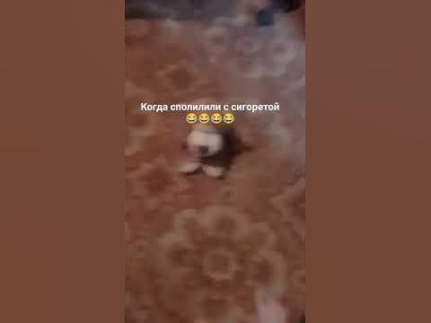 когда спалили с сигоретой 😂😂😂 - YouTube