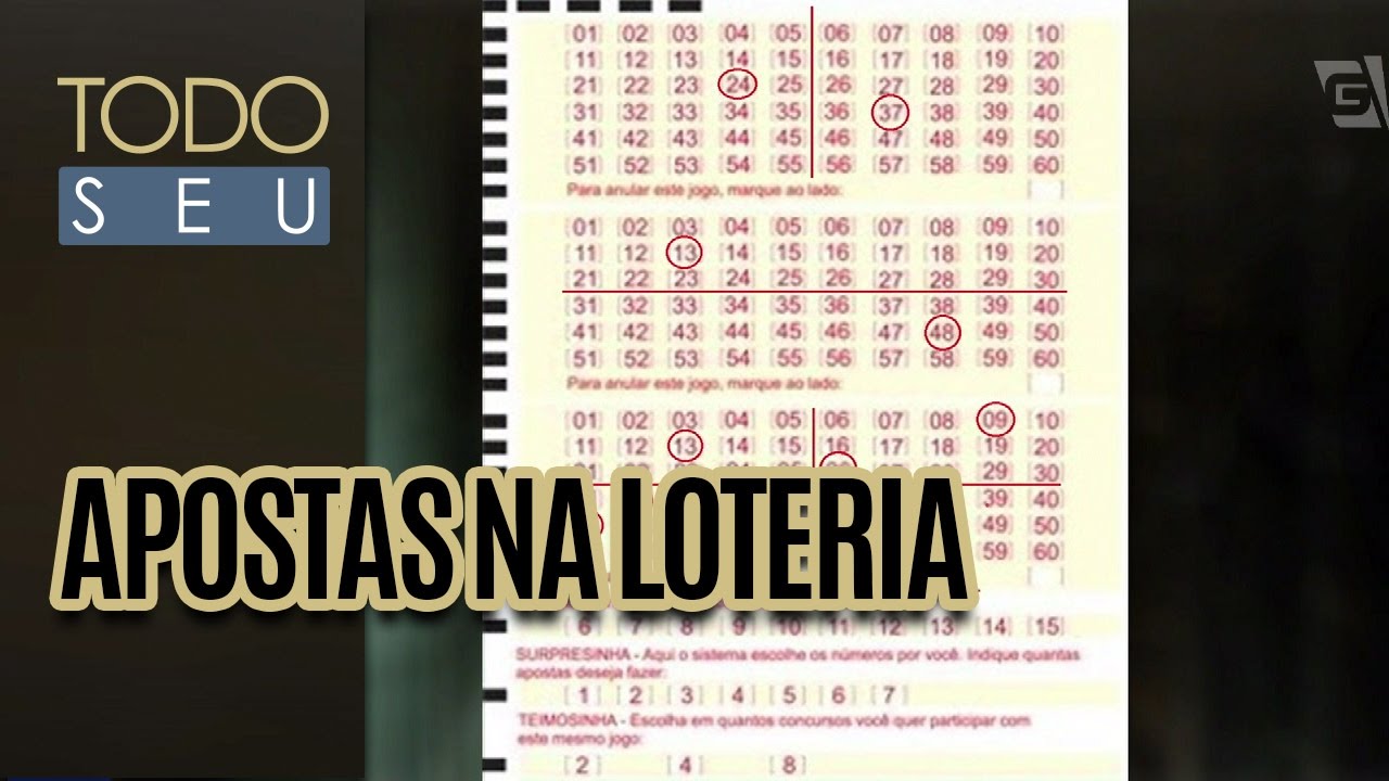 Apostas na Loteira com Munir Niss - Todo Seu (13/12/16)
