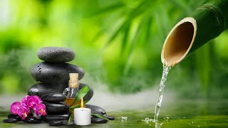 Bamboo Water Fountain Healing 24/7 - Bamboo, Relaxing Music, Meditation Music, Nature Sounds