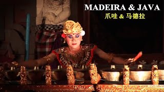 Famous Java The Treasure Of Indonesia & Madeira Pearl of the Atlantic Ocean + ηͺε & 马德ζ Profile