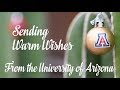 Warm Holiday Wishes from the UA College of Medicine – Phoenix