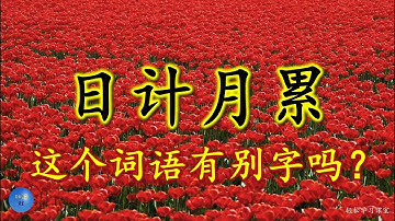 日计月累 容易写错的字 Word You Write Incorrectly 别字 错别字 形似字