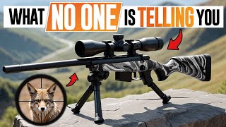 .22 LR Rifles.. What NO ONE is telling you!