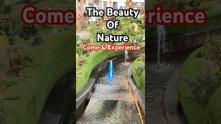 Nature lovers #trending #viral #reels #instagram #music #viralvideos #tiktok #viralreels #instareels
