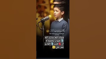 #قران_كريم #تلاوه #🎙️صوت يخشع لهُ ال🫀 قلب #القارئ عمر علي 🥺