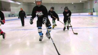 PA Puck Ice Hockey How-To: Stroking