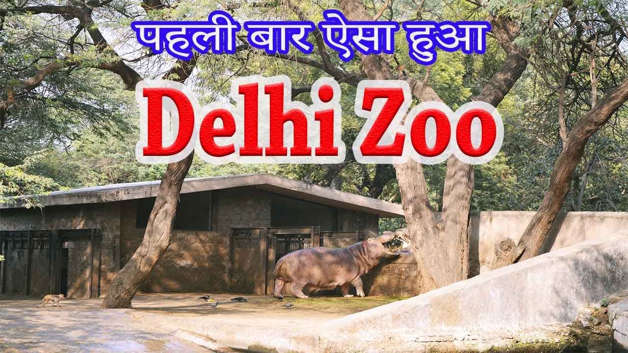 delhi zoo visit
