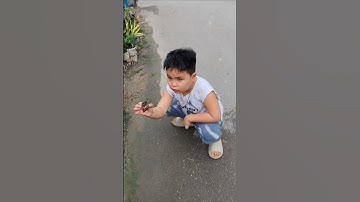 Mẹ ơi đi cứu con ốc sên gặp nguy hiểm, snail #snail #shorts