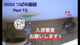 【つばめ】入居を諦めきれない迷惑客。2024つばめ動画part13