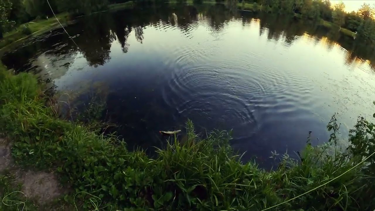 Щука на нахлыст!