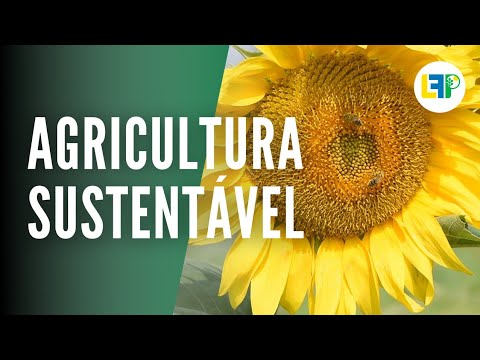 Vídeo: O que os agricultores podem fazer para alcançar uma agricultura sustentável?