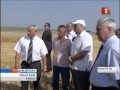 А.Лукашенко посетил агрохозяйства  1-ой Минской птицефабрики