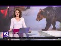 Maratonul autostrăzilor: Ce șosele de mare viteză vor fi deschise anul acesta