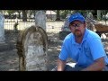 D2 Biological Solution Cleaner: How to clean Headstones, gravestones, tombstones, and monuments