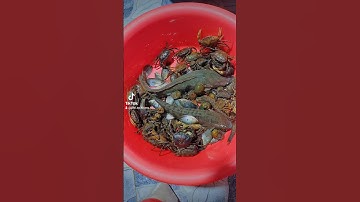 cá đồng kho trái giác miền tây #mientay  #shortvideo #shorts #short #youtubeshorts #youtube