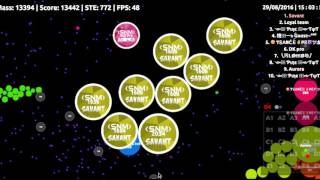 Agar.io Server Takeover #8